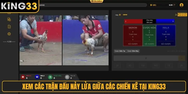 Xem các trận đấu nảy lửa giữa các chiến kê tại King33